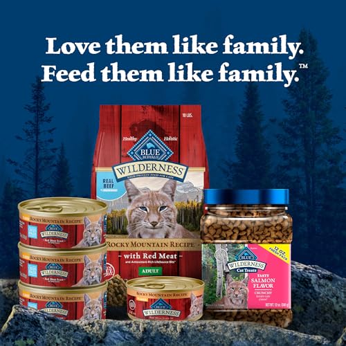 Blue Buffalo Wilderness sac 10-lb, format pratique pour l’alimentation quotidienne.