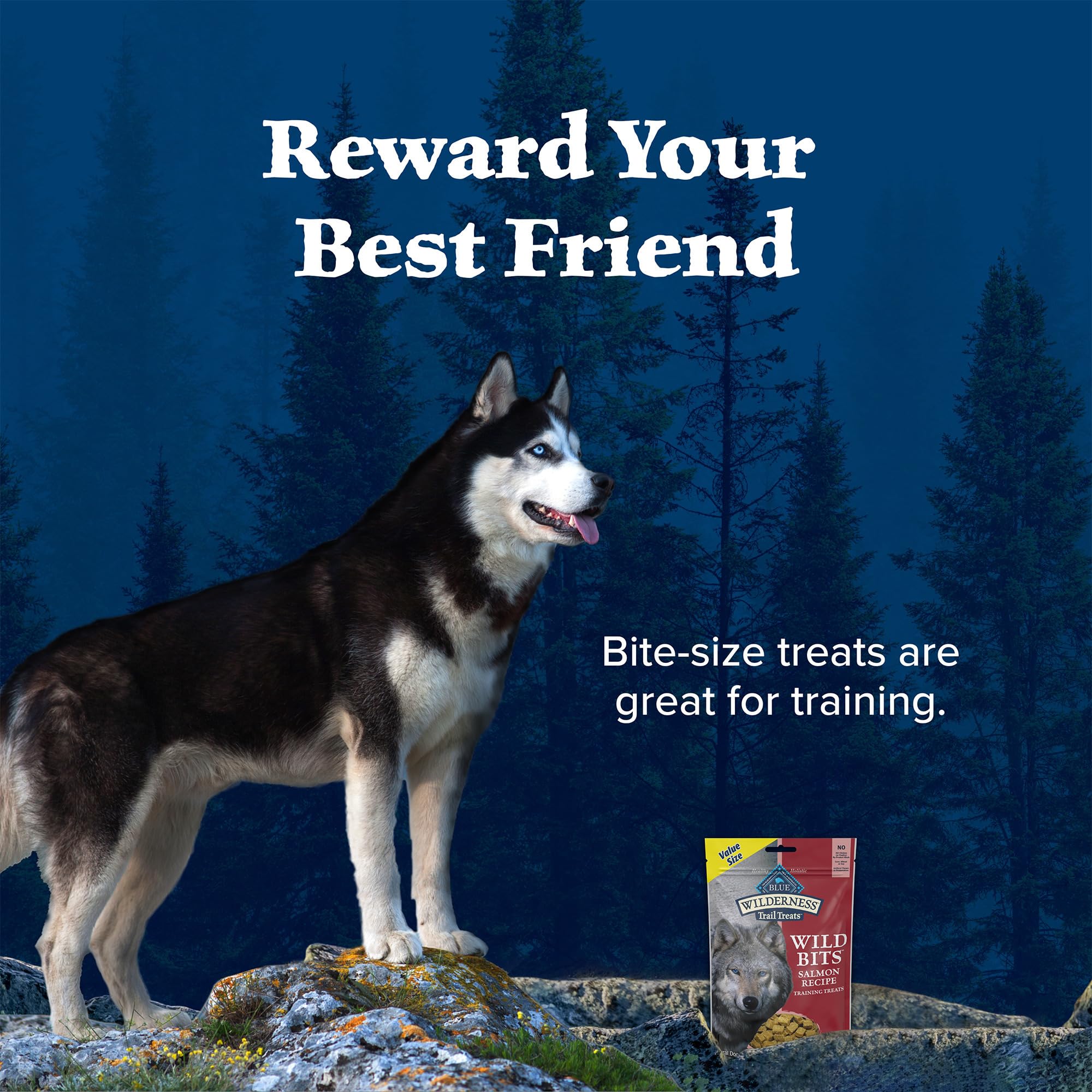 Blue Buffalo Wilderness sachet 283 g – format pratique pour l’entraînement