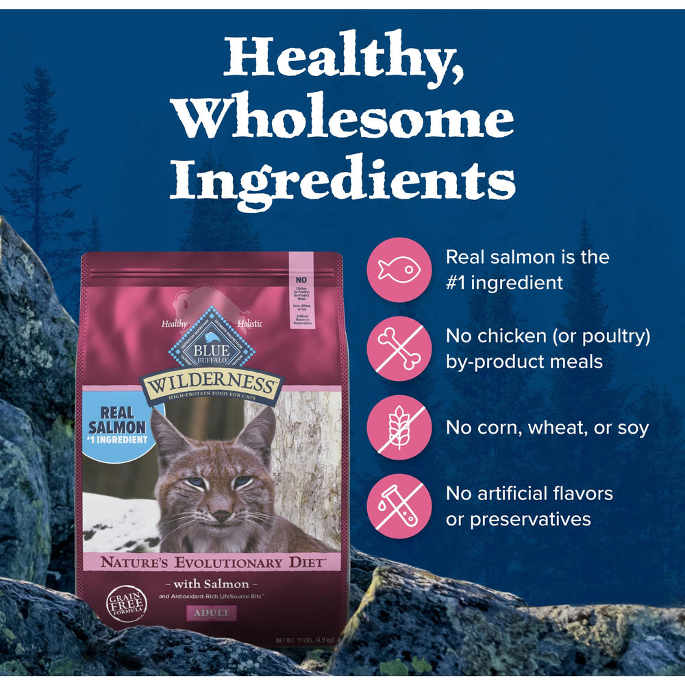 Sans artificiels dans la recette Blue Buffalo Wilderness.