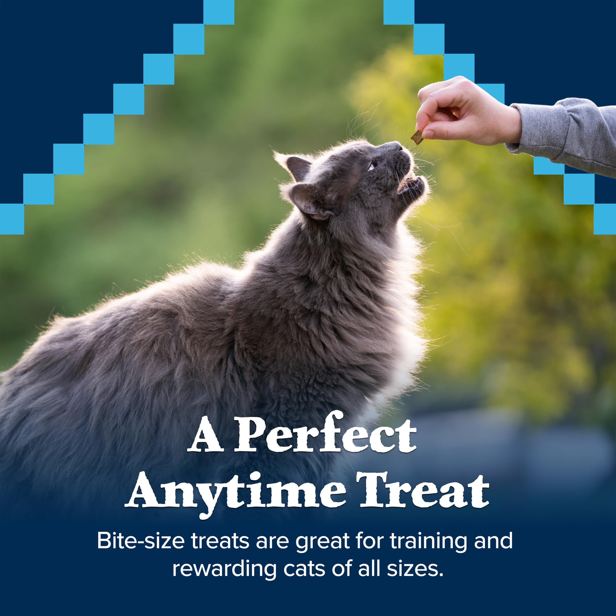 Friandises sans céréales Wilderness pour chats