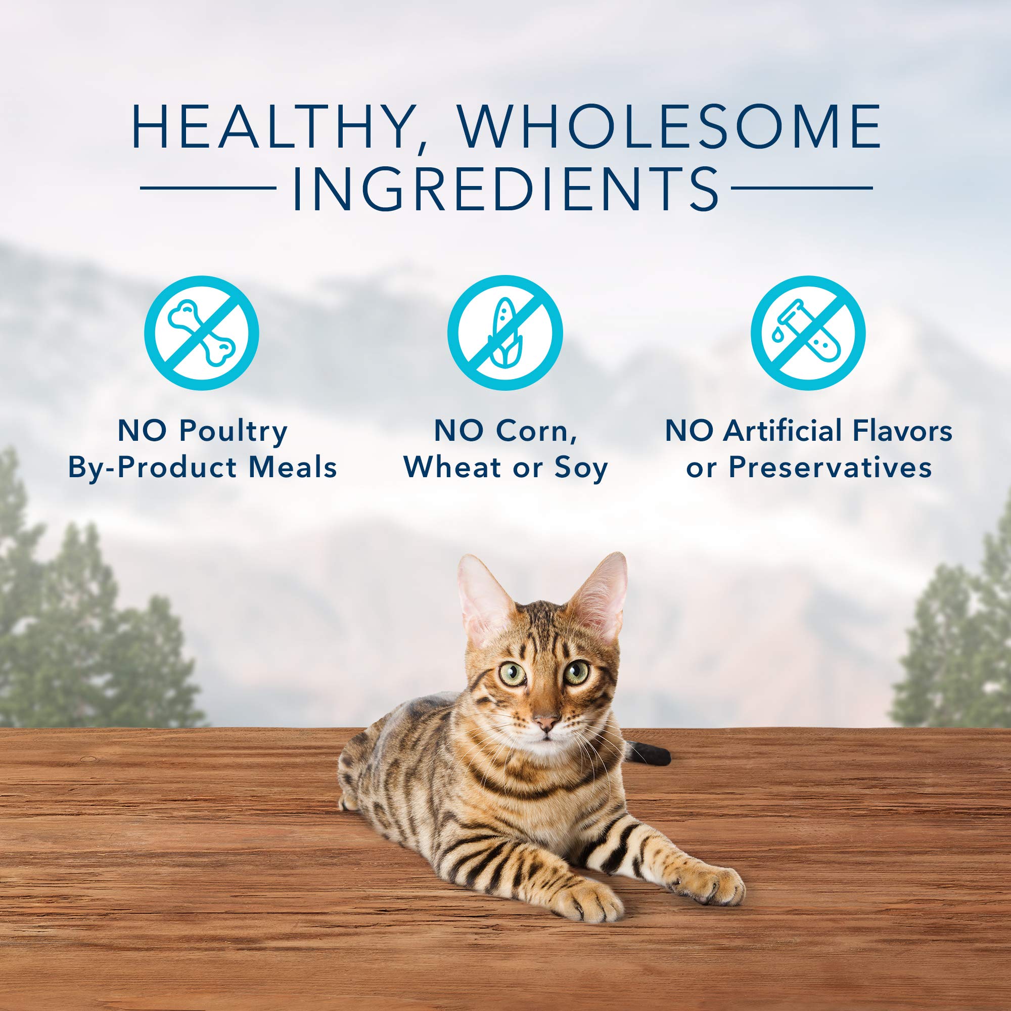 Blue Buffalo Wilderness sans sous produits de volaille, pour un choix naturel.