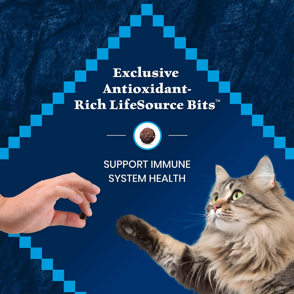 Blue Buffalo Wilderness texture croquante de croquettes appréciée par les chats matures.