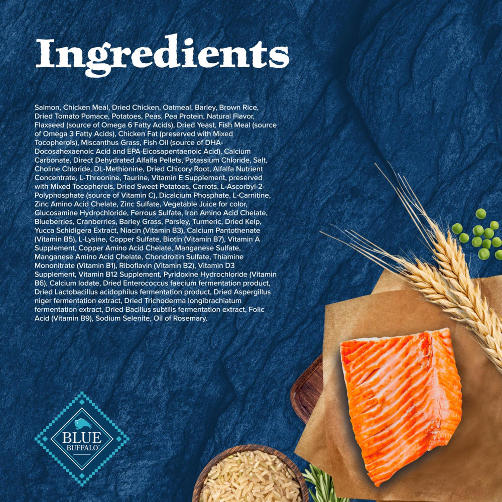Blue Buffalo Wilderness Senior – emballage clair et informations essentielles visibles.