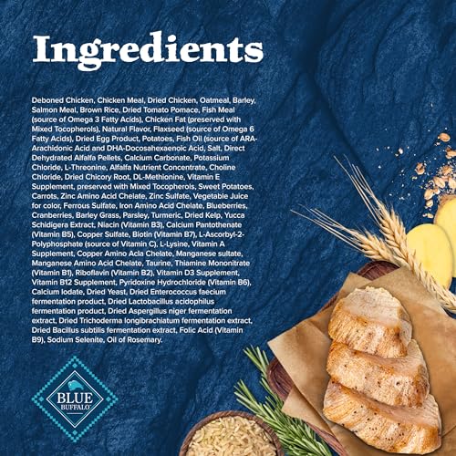 Blue Buffalo Wilderness texture croquante: repas quotidiens agréables