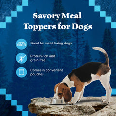 Blue Buffalo Wilderness Trail Toppers sachets 3oz boeuf, texture appétissante et facile.