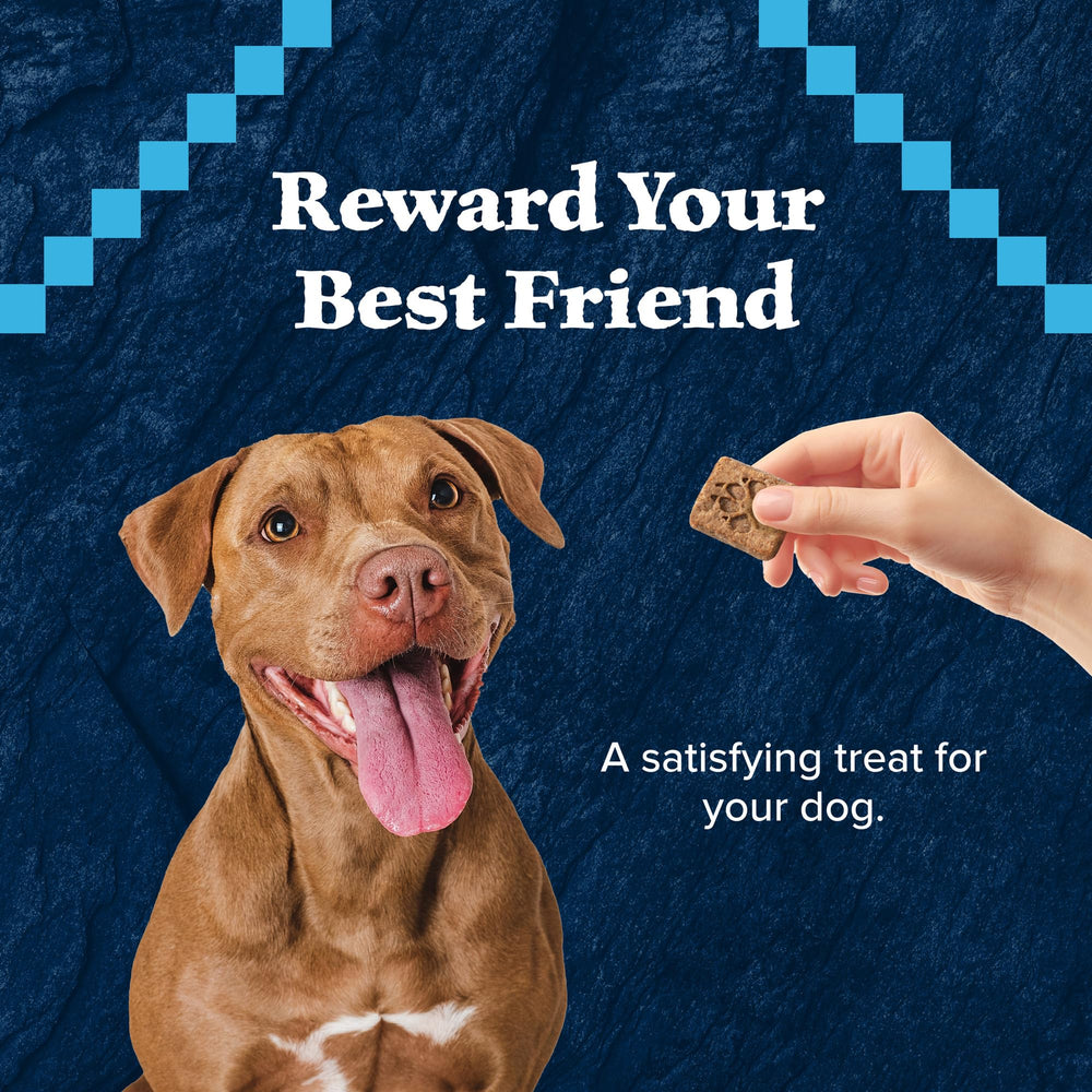Blue Buffalo biscuits sans cereales ideal pour chiens sensibles