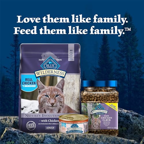 Blue Buffalo Wilderness: utilisation quotidienne pour chat actif.