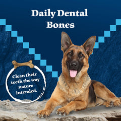 Blue Buffalo Wilderness Wild Bones Mini – texture croquante pour chien miniature.
