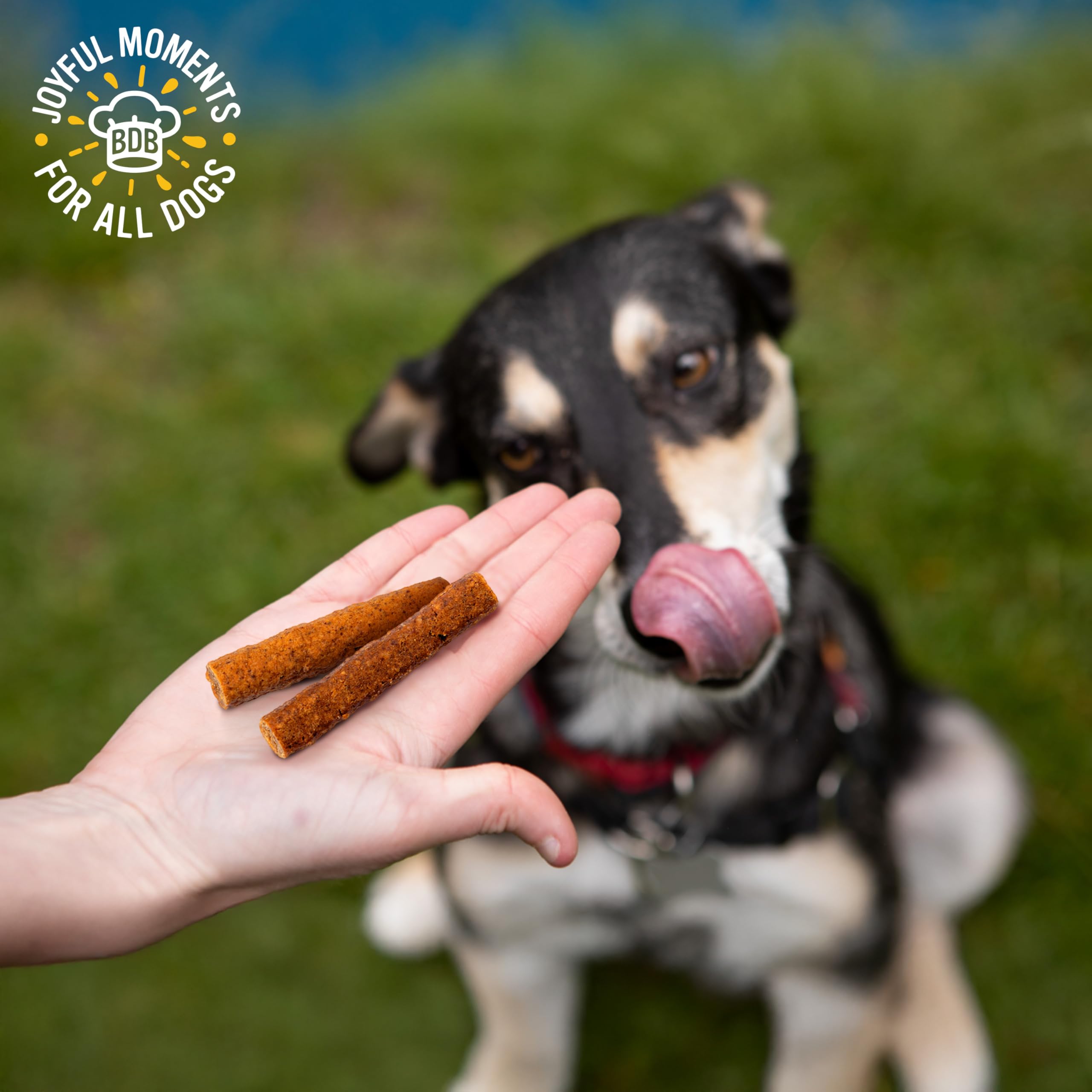 Blue Dog Bakery batonnet sans cereales - option hypoallergenique