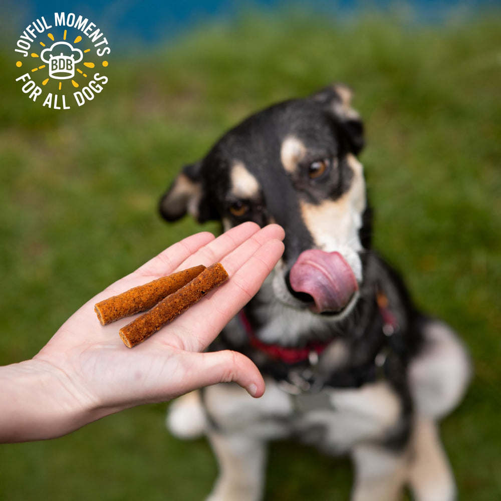 Blue Dog Bakery batonnet sans cereales - option hypoallergenique