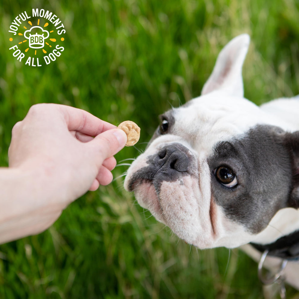 Blue Dog Bakery Doggie Paws Maple Bacon, friandise premium et naturelle pour chiens gourmands.