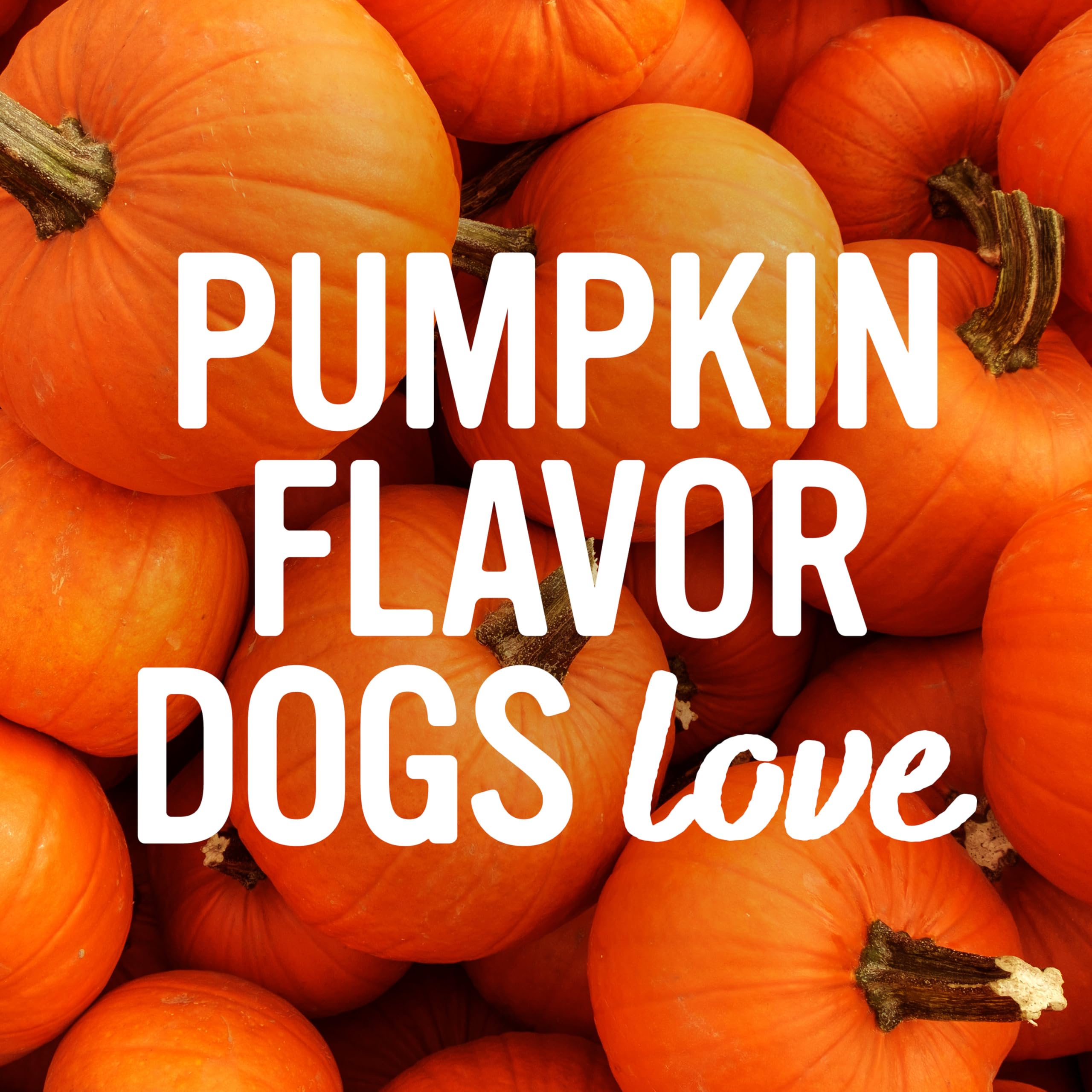 Friandises pour chiens Pun’Kin Softies, dessert pratique après la promenade.