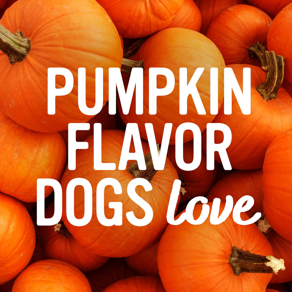 Friandises pour chiens Pun’Kin Softies, dessert pratique après la promenade.