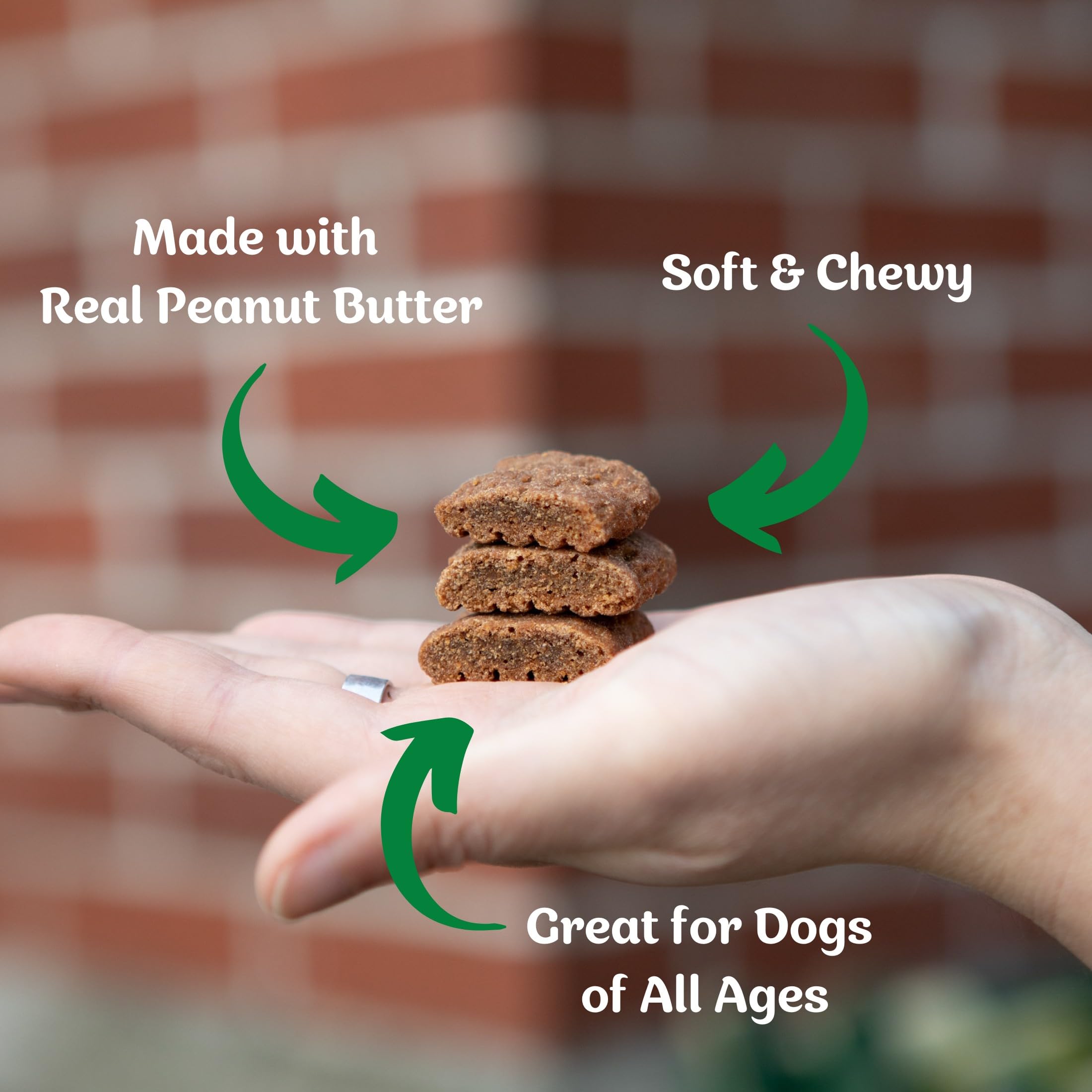 Blue Dog Bakery Softies — texture douce idéale pour mâcher et faciliter la digestion.