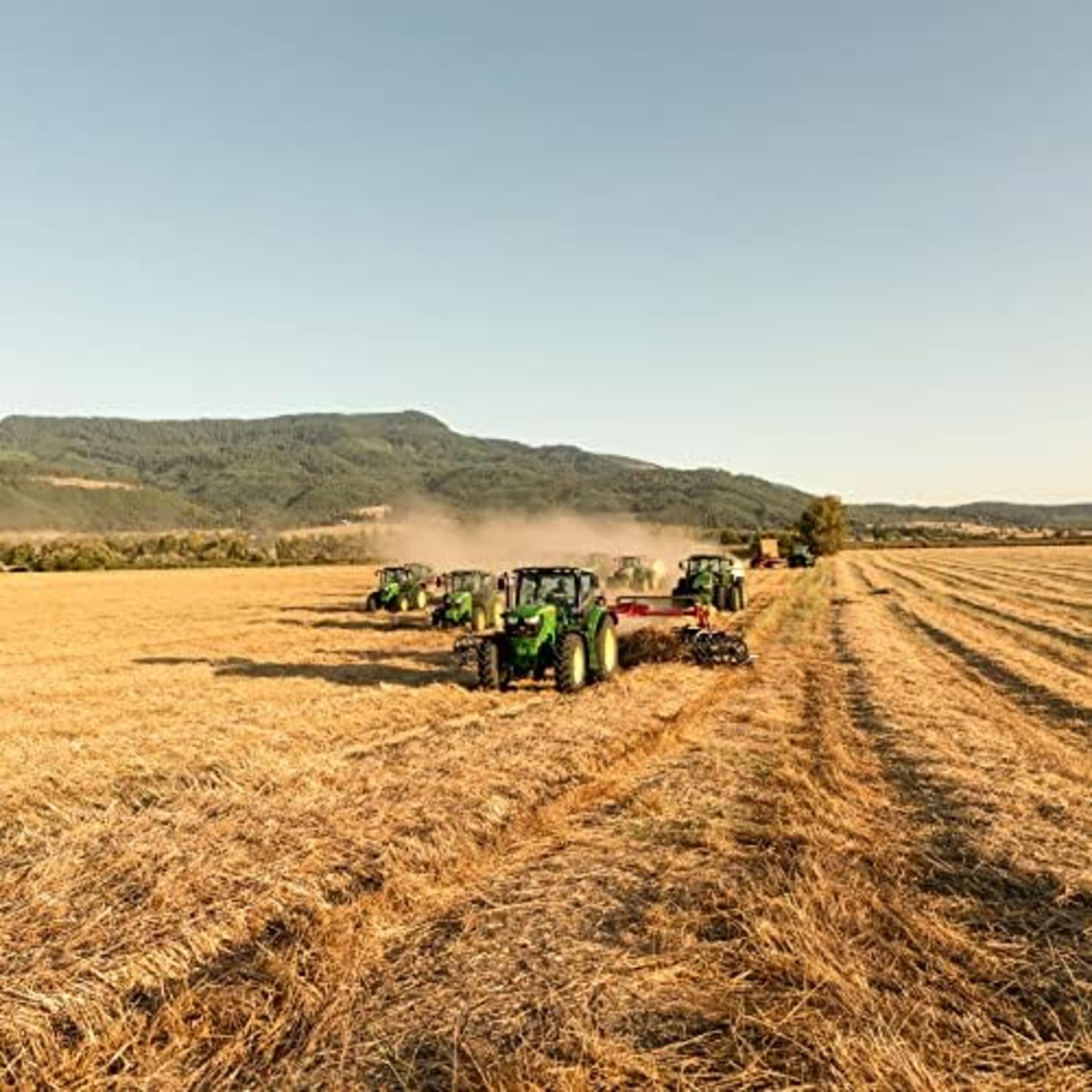 Blue Mountain Hay alimentation adaptée à petites espèces, pratique et polyvalente.