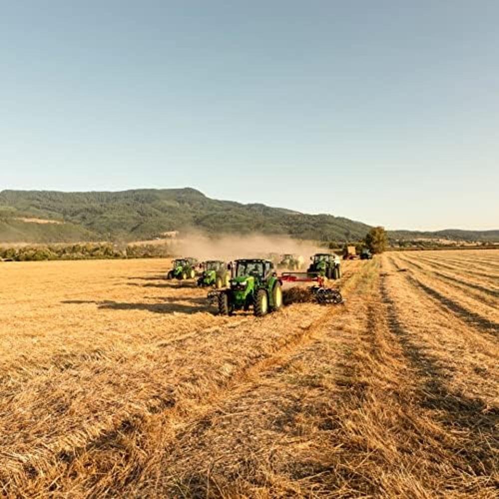 Blue Mountain Hay alimentation adaptée à petites espèces, pratique et polyvalente.