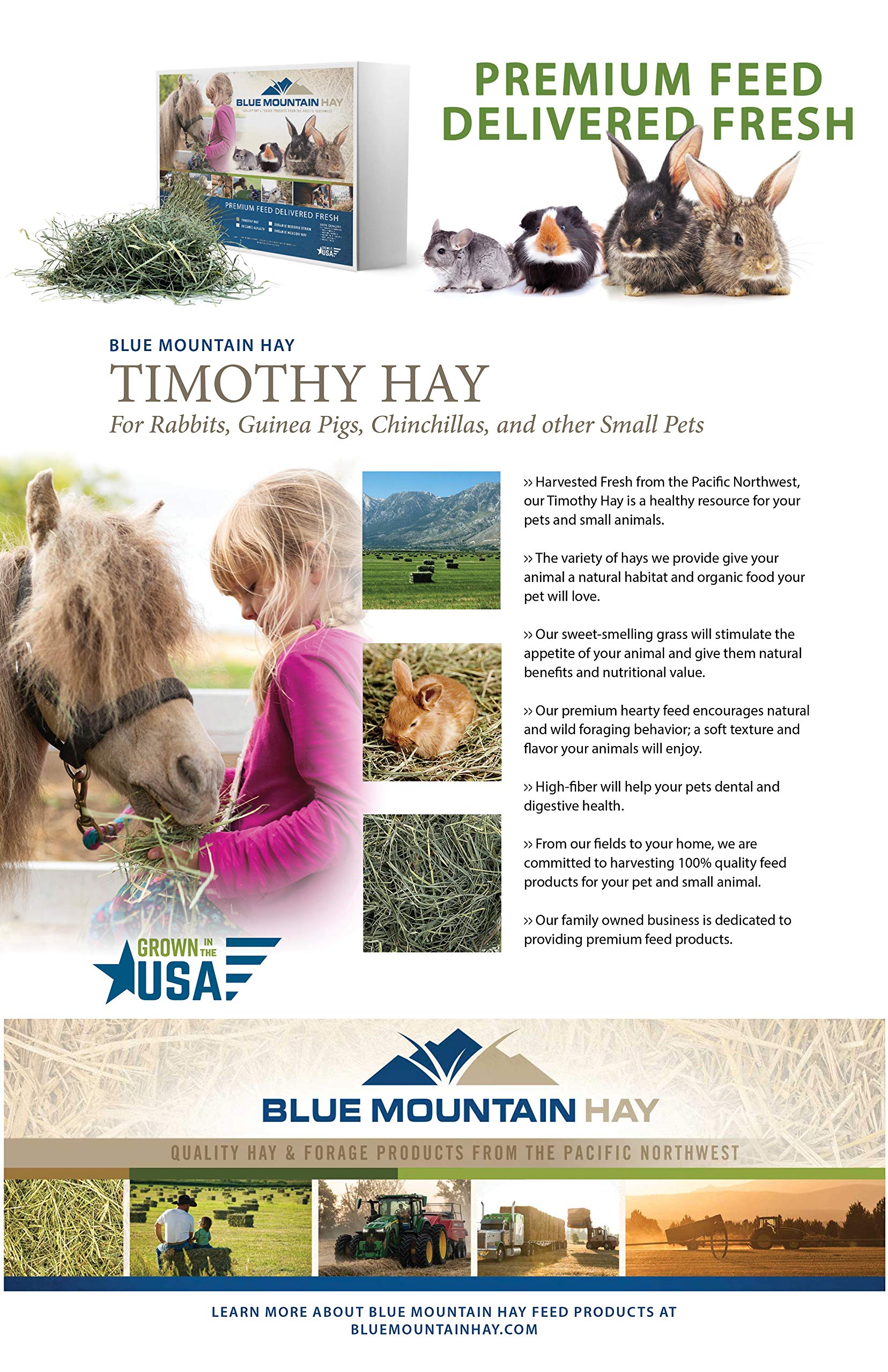 Blue Mountain Hay alimentation adaptée à toutes les situations, usage quotidien et forage.