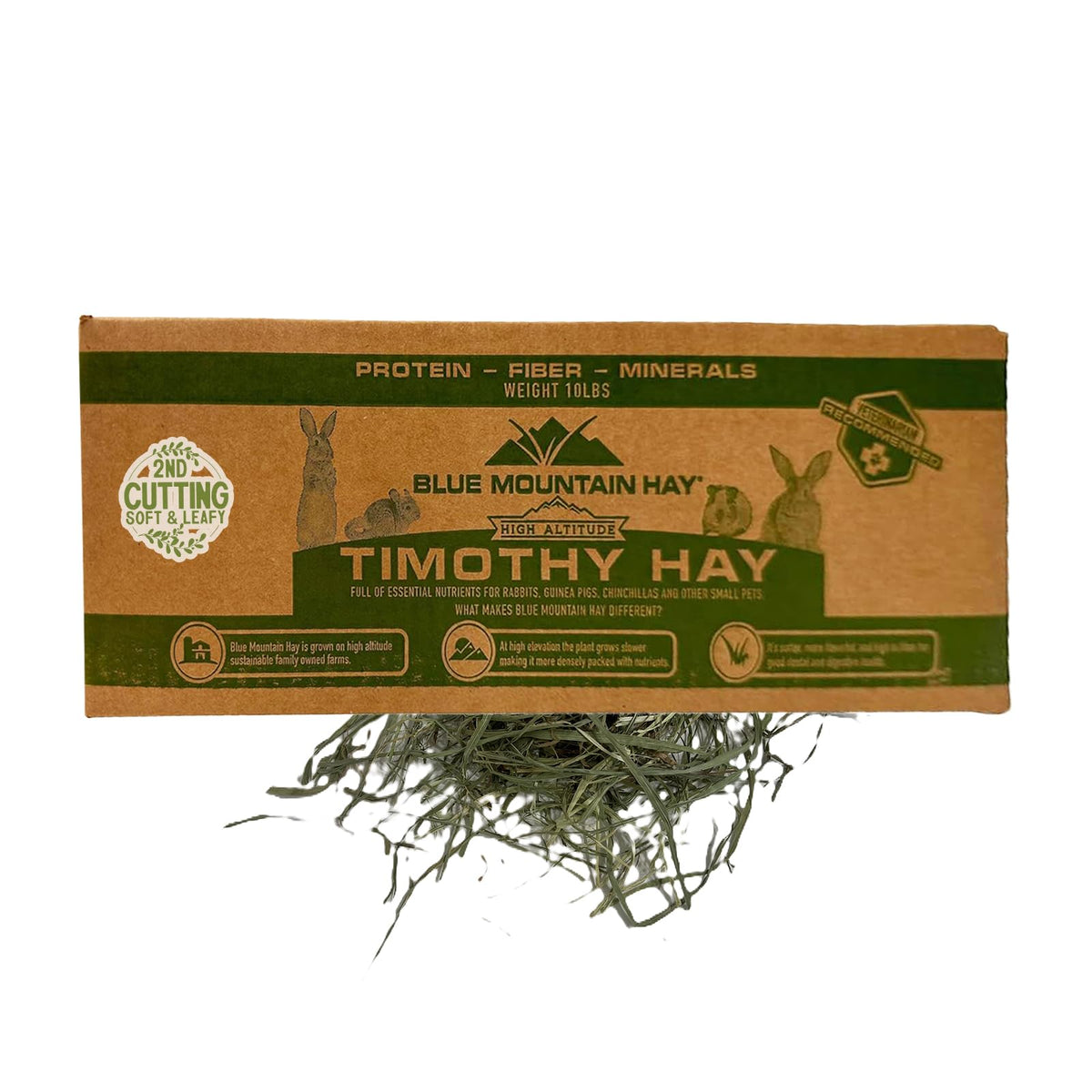 Blue Mountain Hay foin de timothée hautes altitudes, 2e coupe, servi comme alimentation quotidienne.