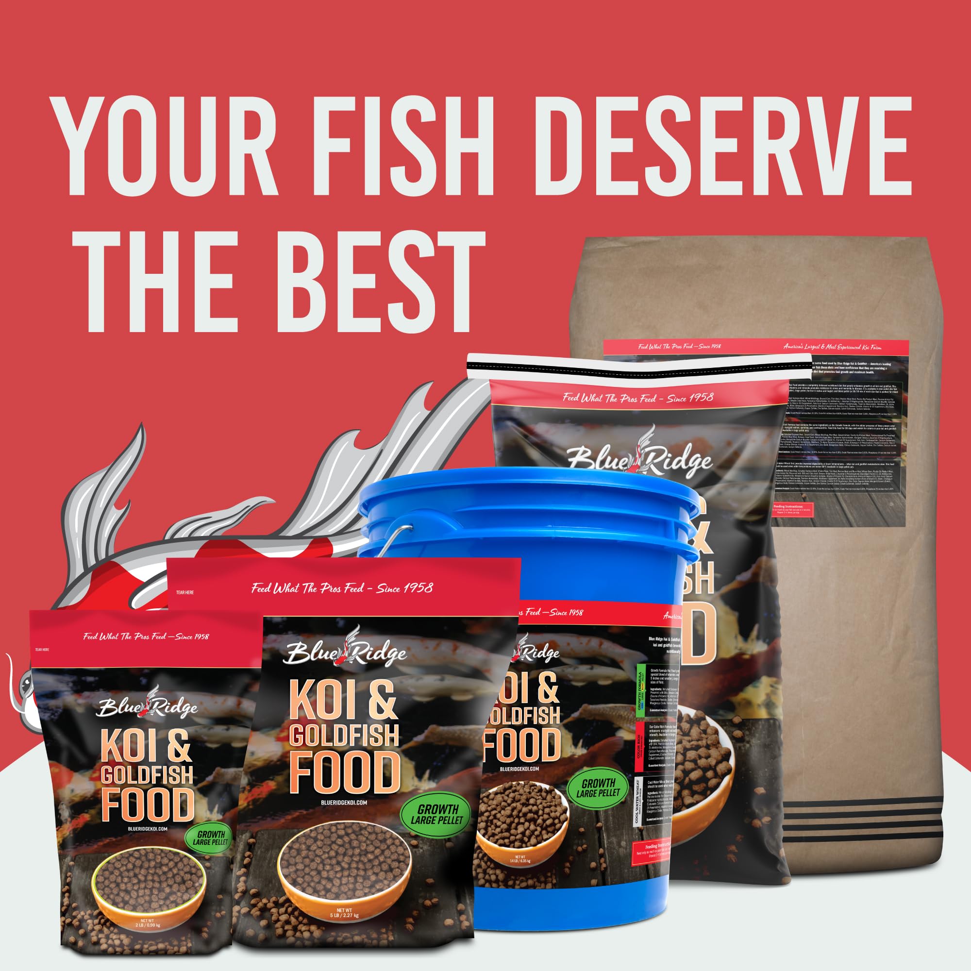Blue Ridge Koi alimentation: nourrissage quotidien simple et efficace