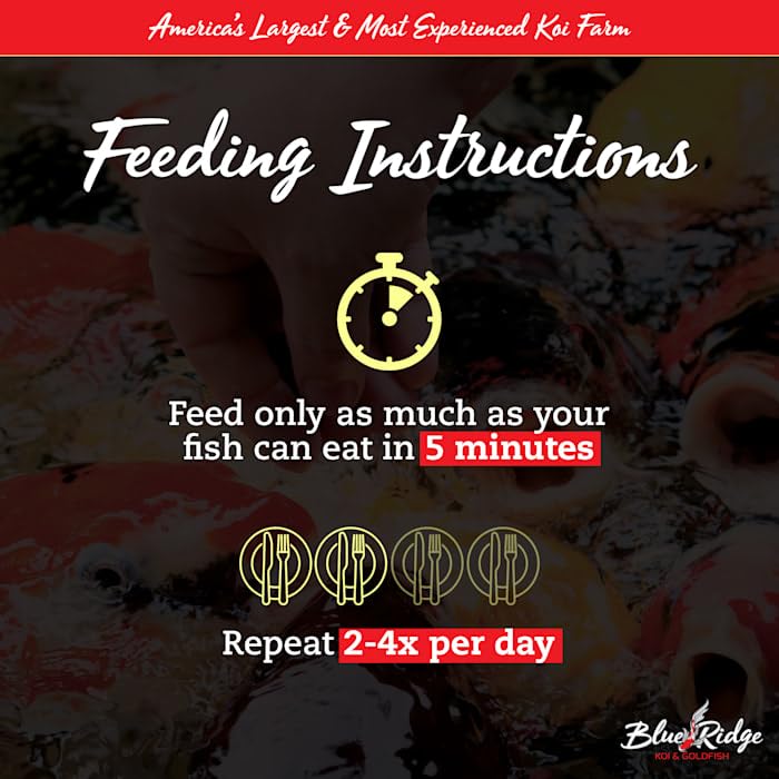 Blue Ridge Koi Food : alimentation premium pour étang, koi et goldfish.