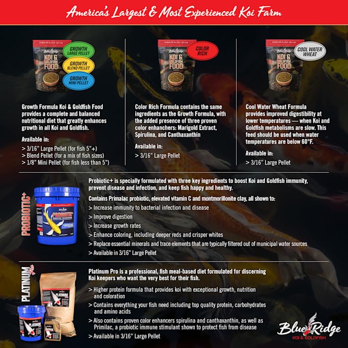 Blue Ridge Koi Food – alimentation facile à digérer et peu polluante pour l'étang.