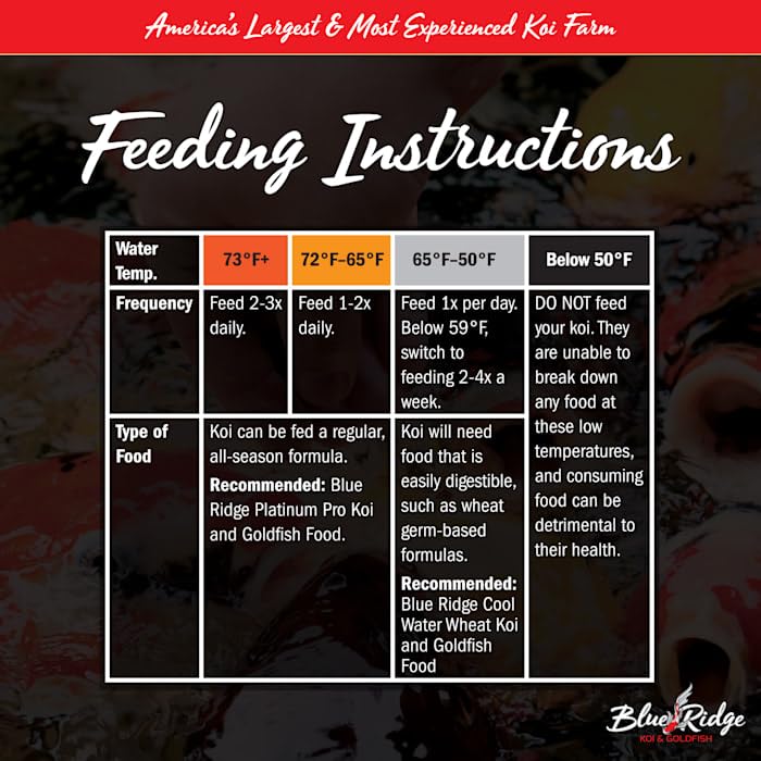 Blue Ridge Koi Food – mélange croissance grand et mini pour poissons de bassin.