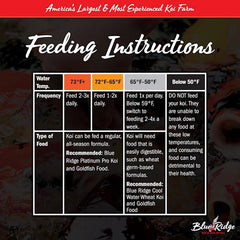 Blue Ridge Koi Food – mélange croissance grand et mini pour poissons de bassin.