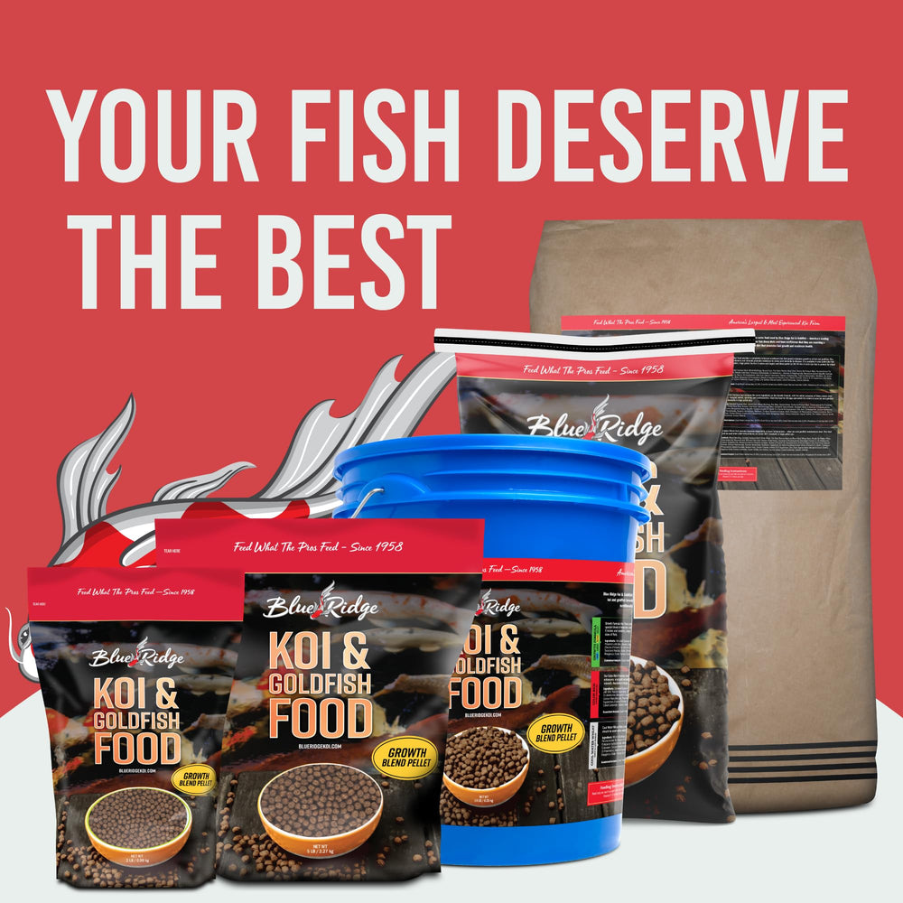 Marque familiale Blue Ridge Koï, produit artisanal dédié au soin des poissons.