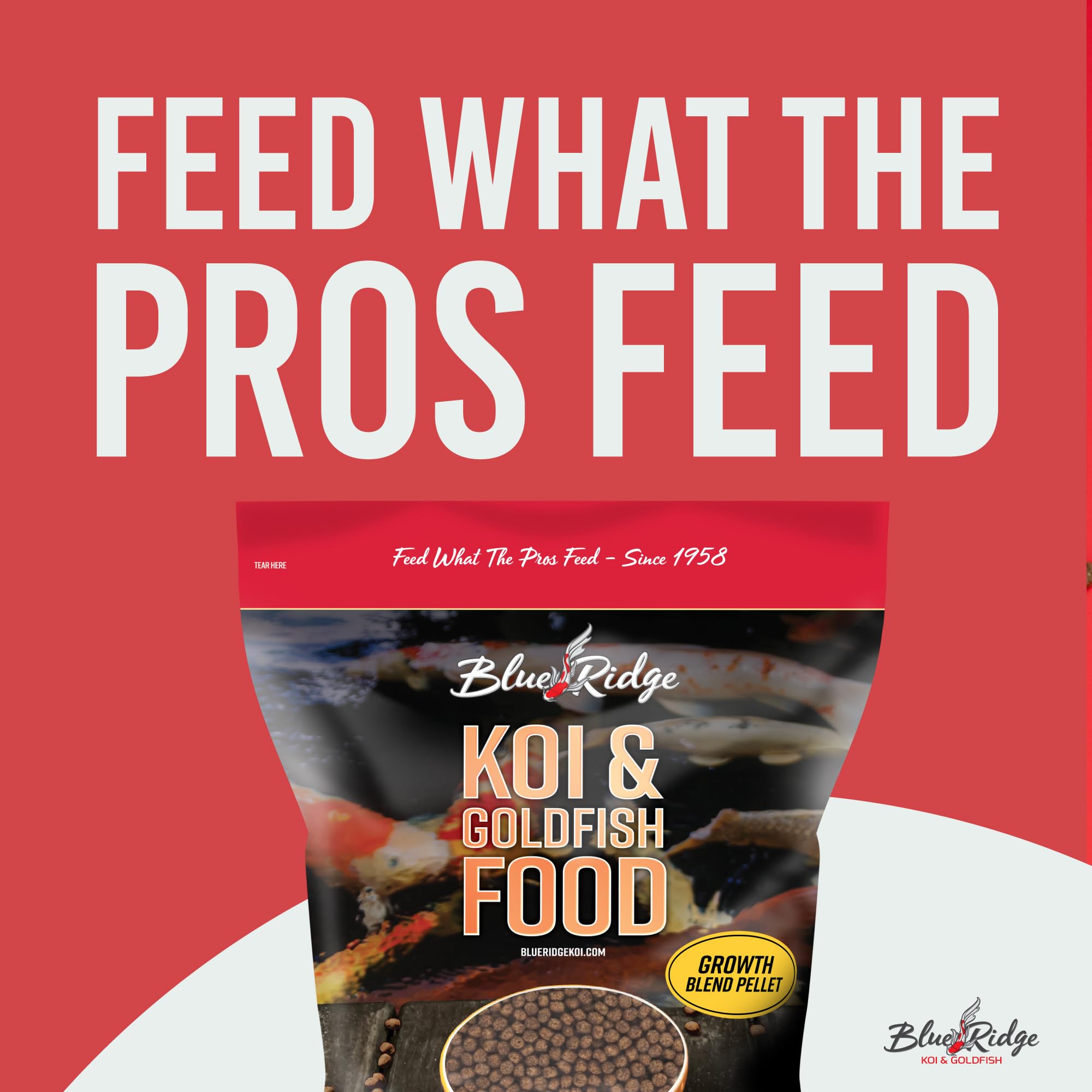 Blue Ridge Koï: mélange Koï et Goldfish adapté aux tailles variées.