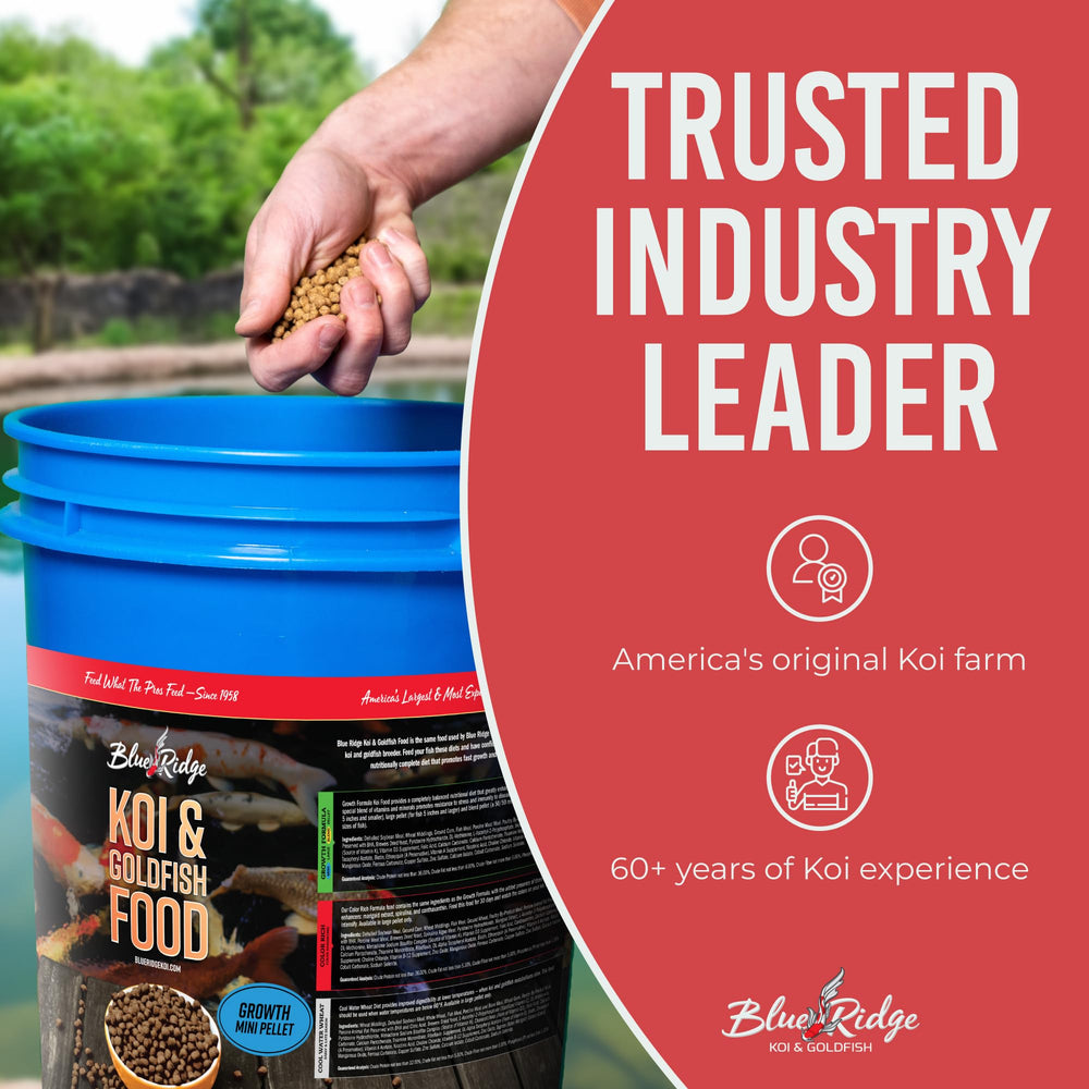 Blue Ridge Koi Food, alimentation premium pour étangs et koïs.