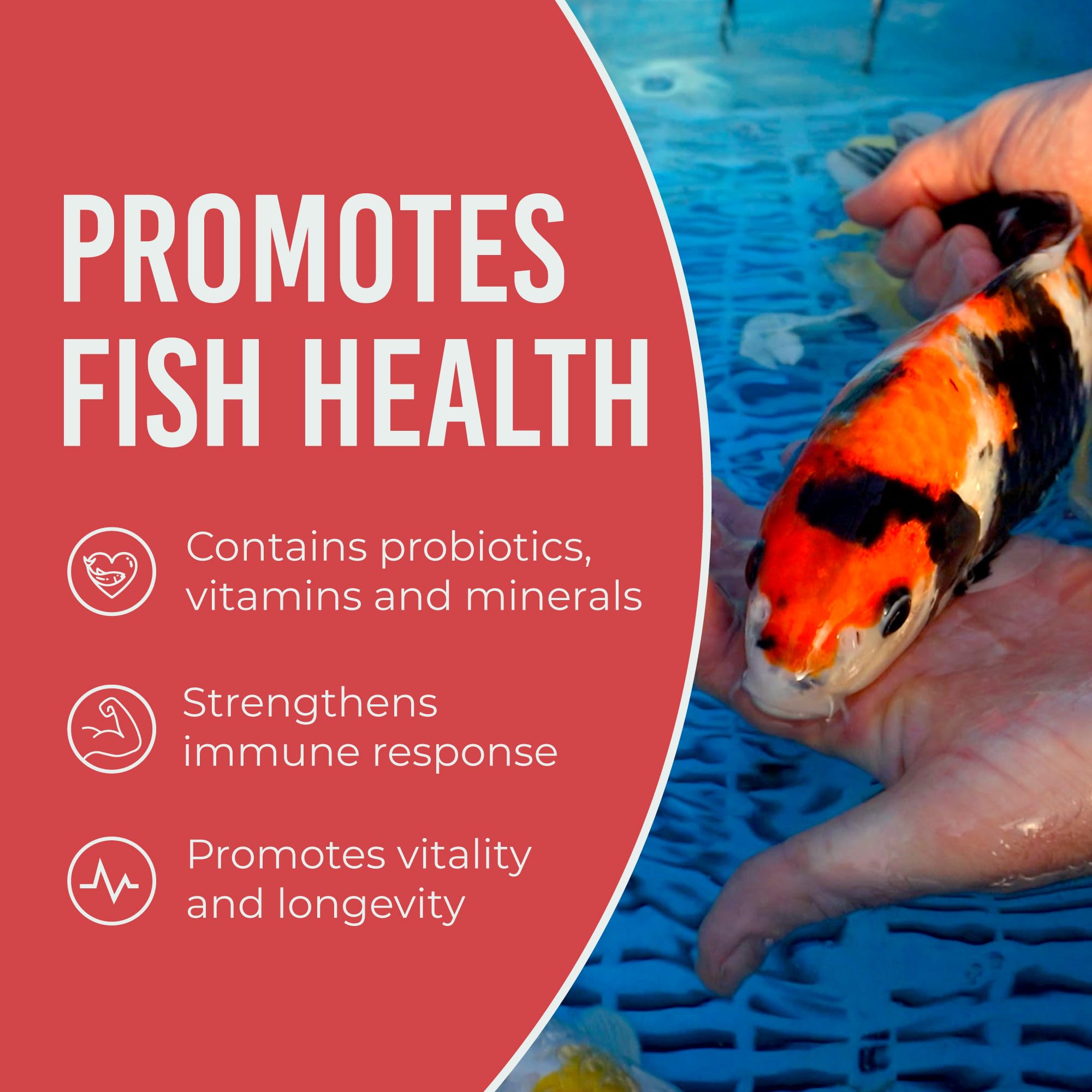 Blue Ridge Koi fabrication-USA: produit fabriqué aux États‑Unis selon des normes strictes.