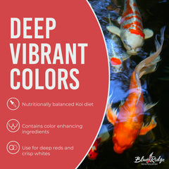 Blue Ridge Koi Pellets Platine Pro – alimentation adaptée toute l'année