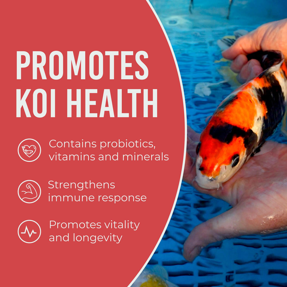 Blue Ridge Koi Pellets Platine Pro – pellets flottants facilitant la digestion