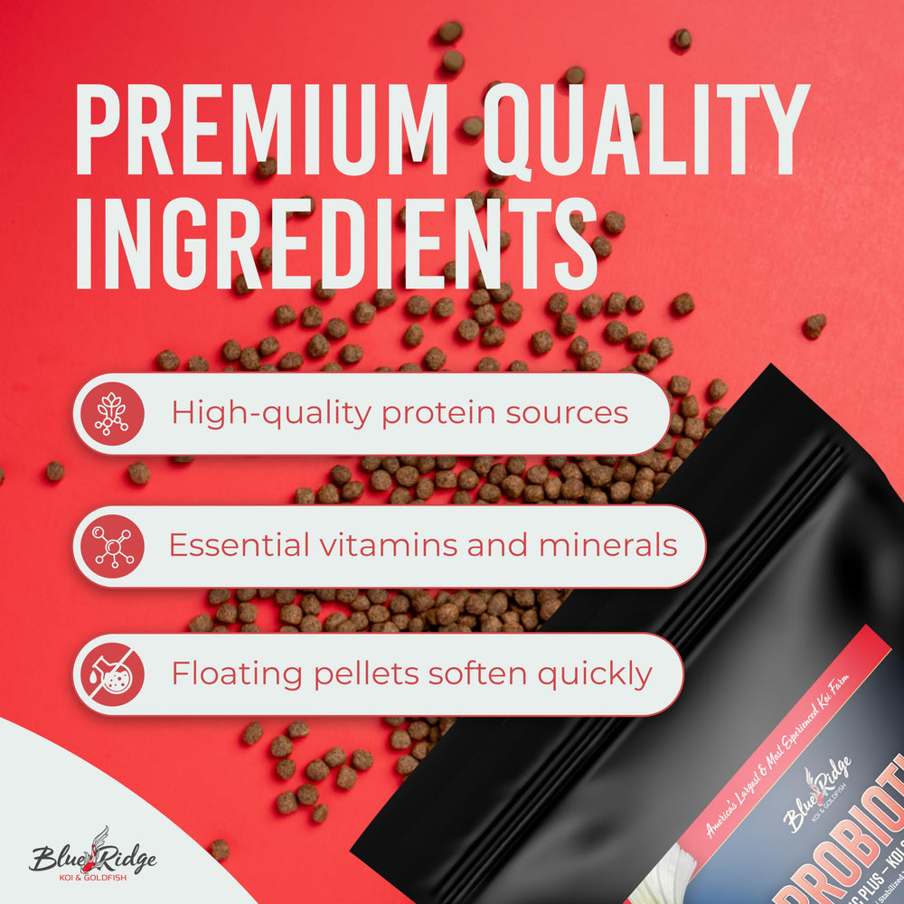 Blue Ridge Probiotique Plus – soutien immunitaire des koi.