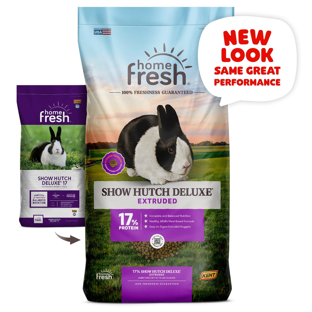 Blue Seal Fresh Show Hutch Deluxe 17: ideal pour lapins de concours en situation de stress, nutrition cible