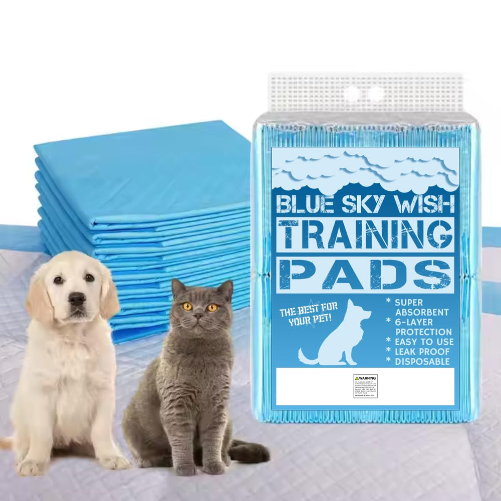 Blue Sky Wish Tapis d'apprentissage 24x24 absorbant six couches pour chien