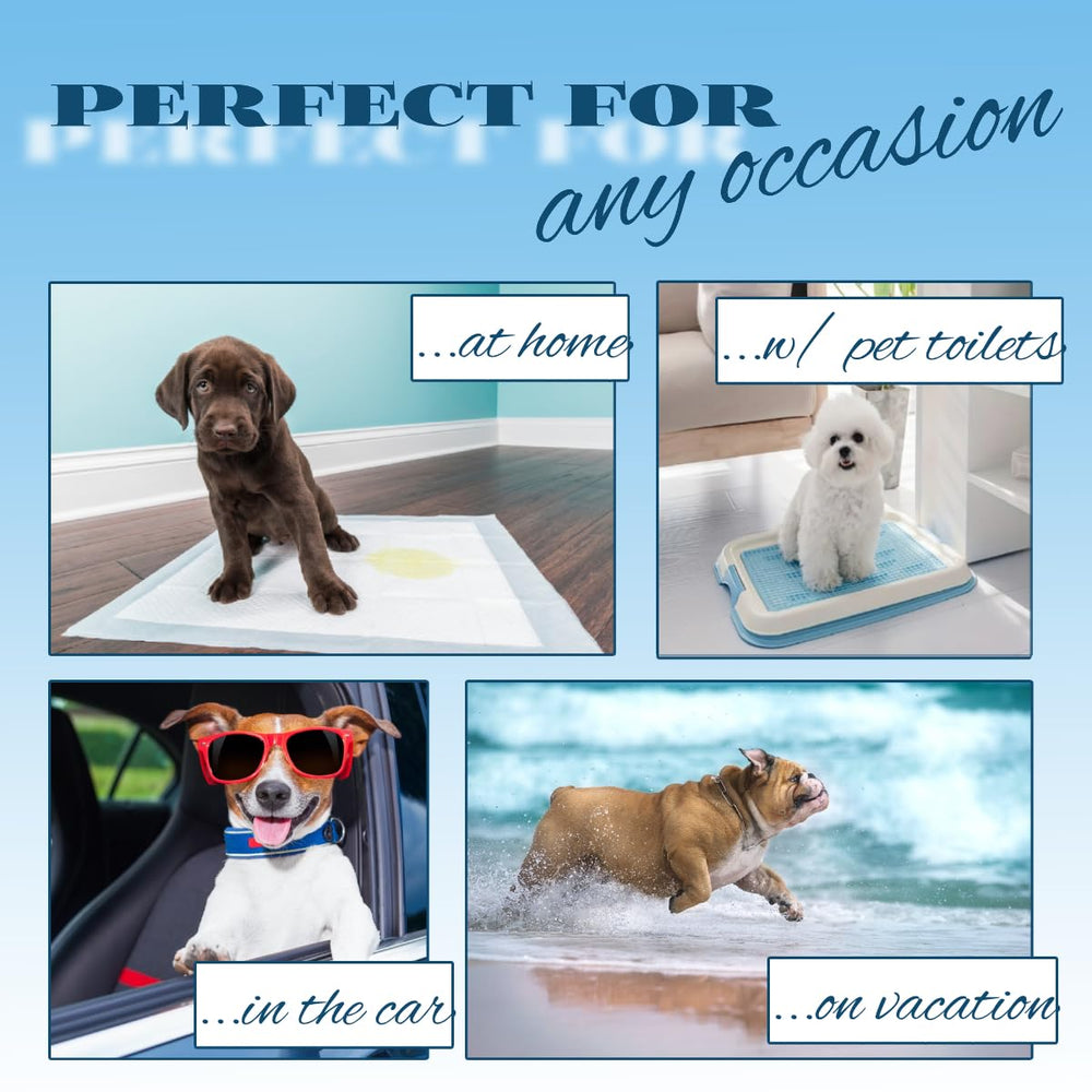 Blue Sky Wish Tapis 24x24 convient chiots chatons et animaux domestiques