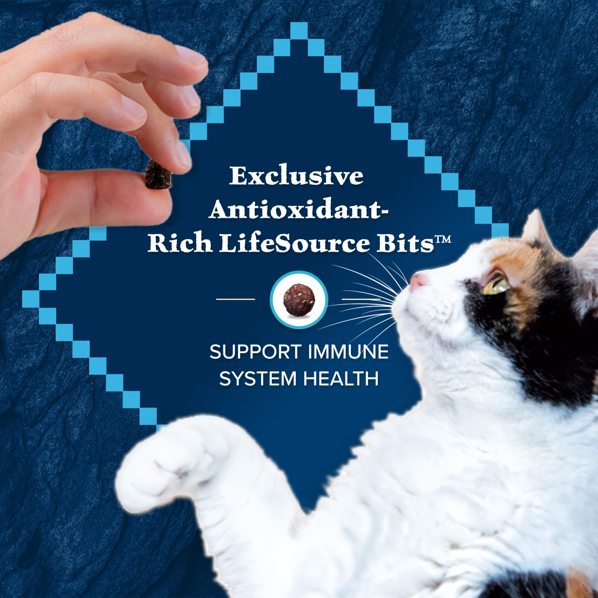 Blue Wilderness arôme canard naturel intrigue le chat et stimule l'appétit