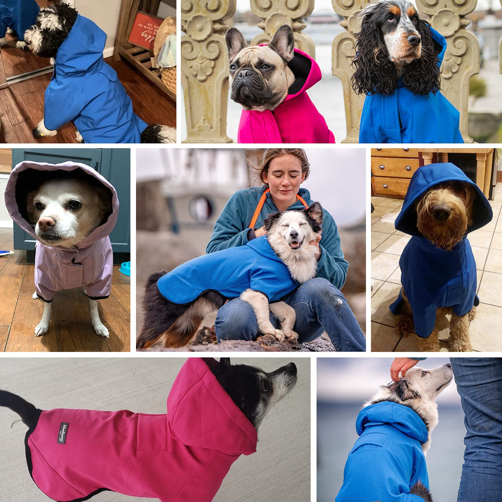 Blueberry Pet reglages par boutons-pression, ajustement confortable au cou.