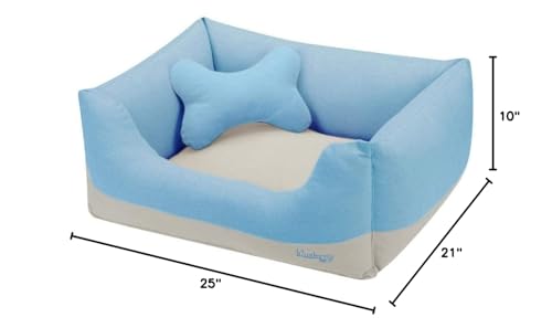 Blueberry Pet reconnue pour son engagement envers les soins animaliers