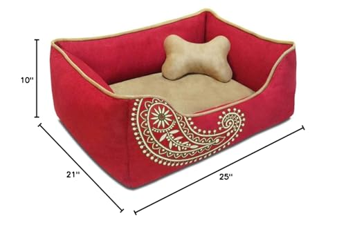 Blueberry Pet confort quotidien pour chiens avec un design soigné.