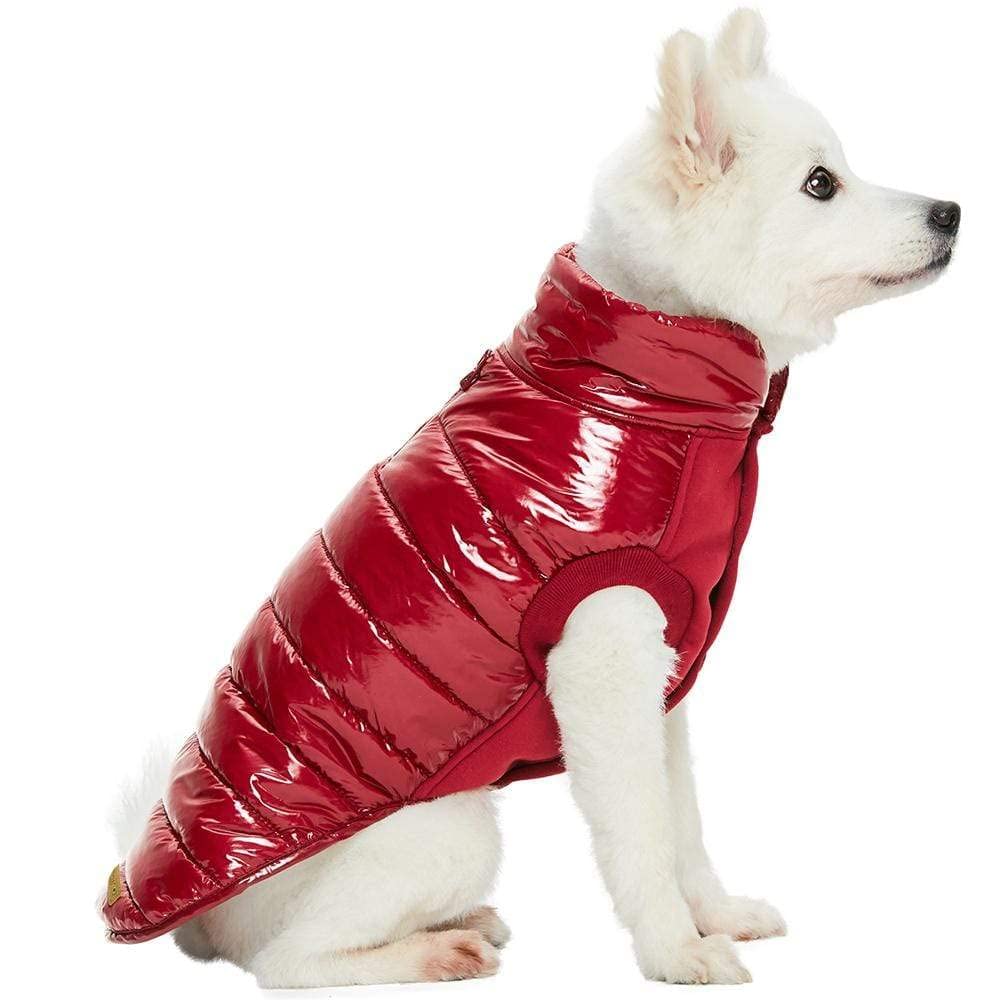Blueberry Pet doudoune chaude et légère, idéale pour l'hiver actif