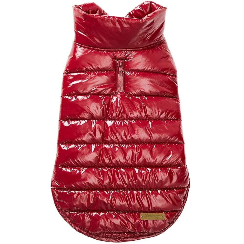 Blueberry Pet doudoune, longueur dos 24 pouces, chaleur légère pour promenades hivernales