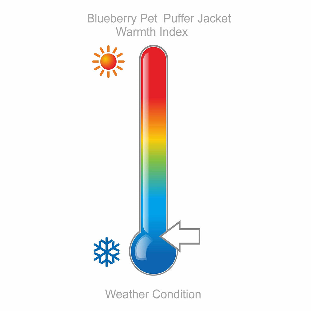 Doudoune Blueberry Pet hiver pour chien, tissu imperméable et durable