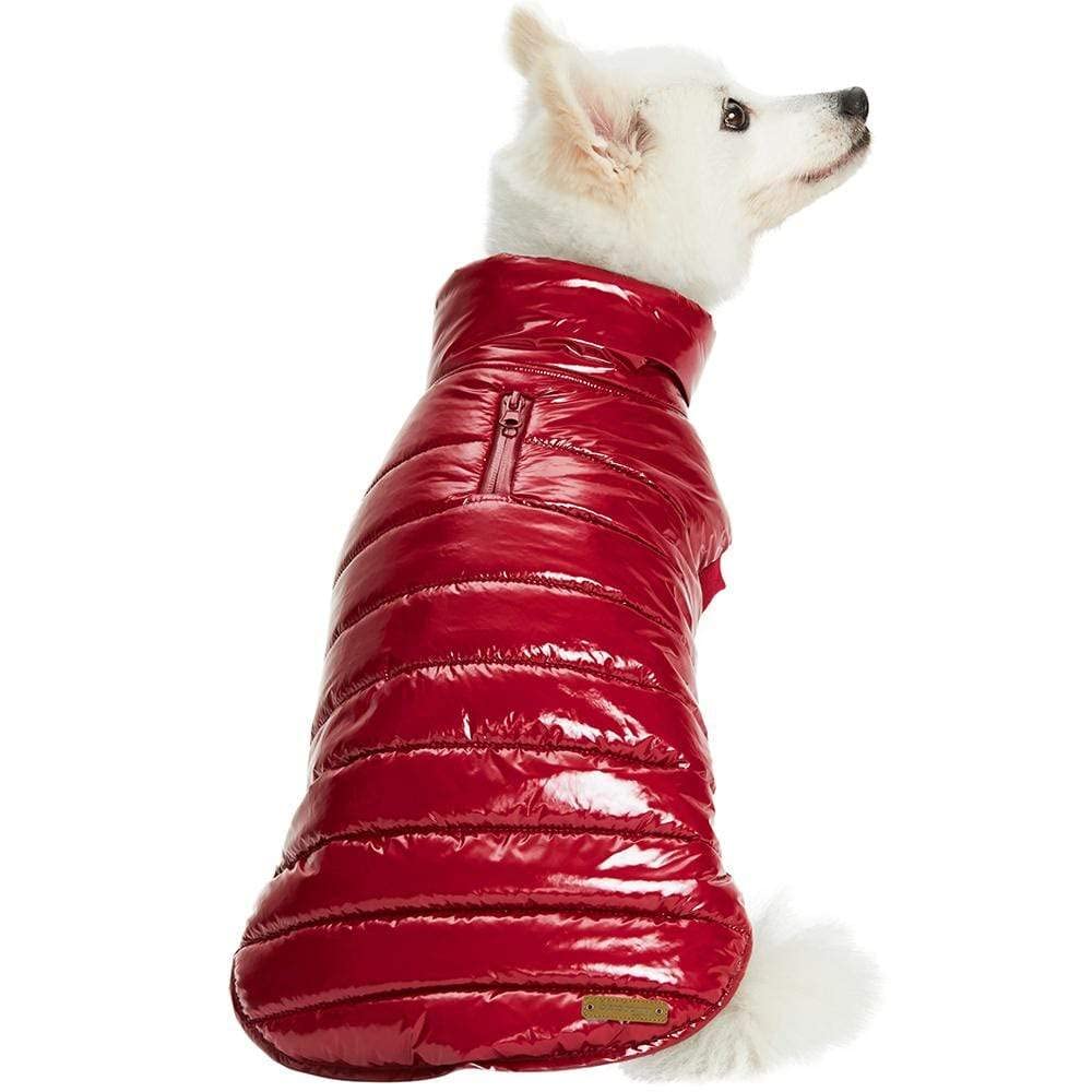 Blueberry Pet doudoune en nylon brillant, entretien facile et look élégant