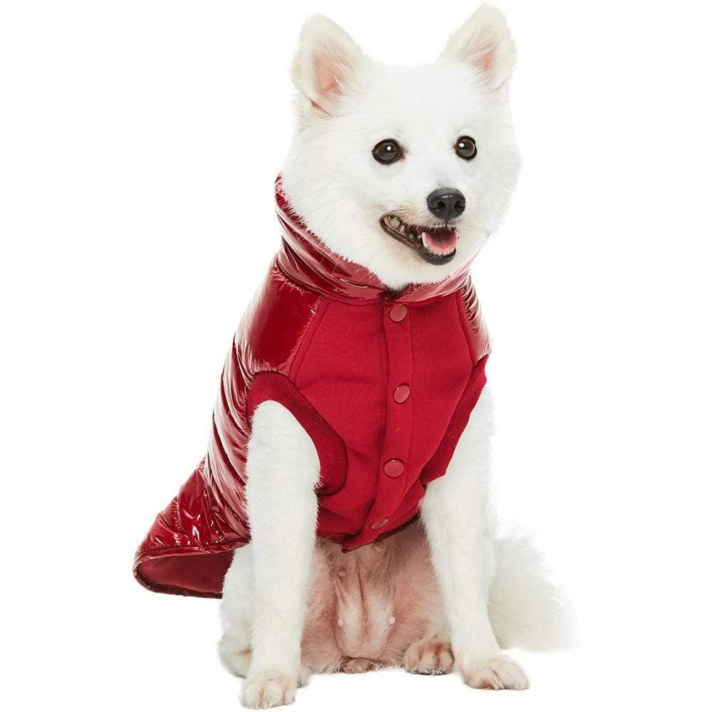 Blueberry Pet doudoune pour temps froid, utilisation quotidienne sécurisée