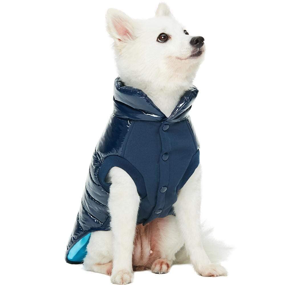 Manteau imperméable léger Blueberry Pet, idéal pour sorties quotidiennes.