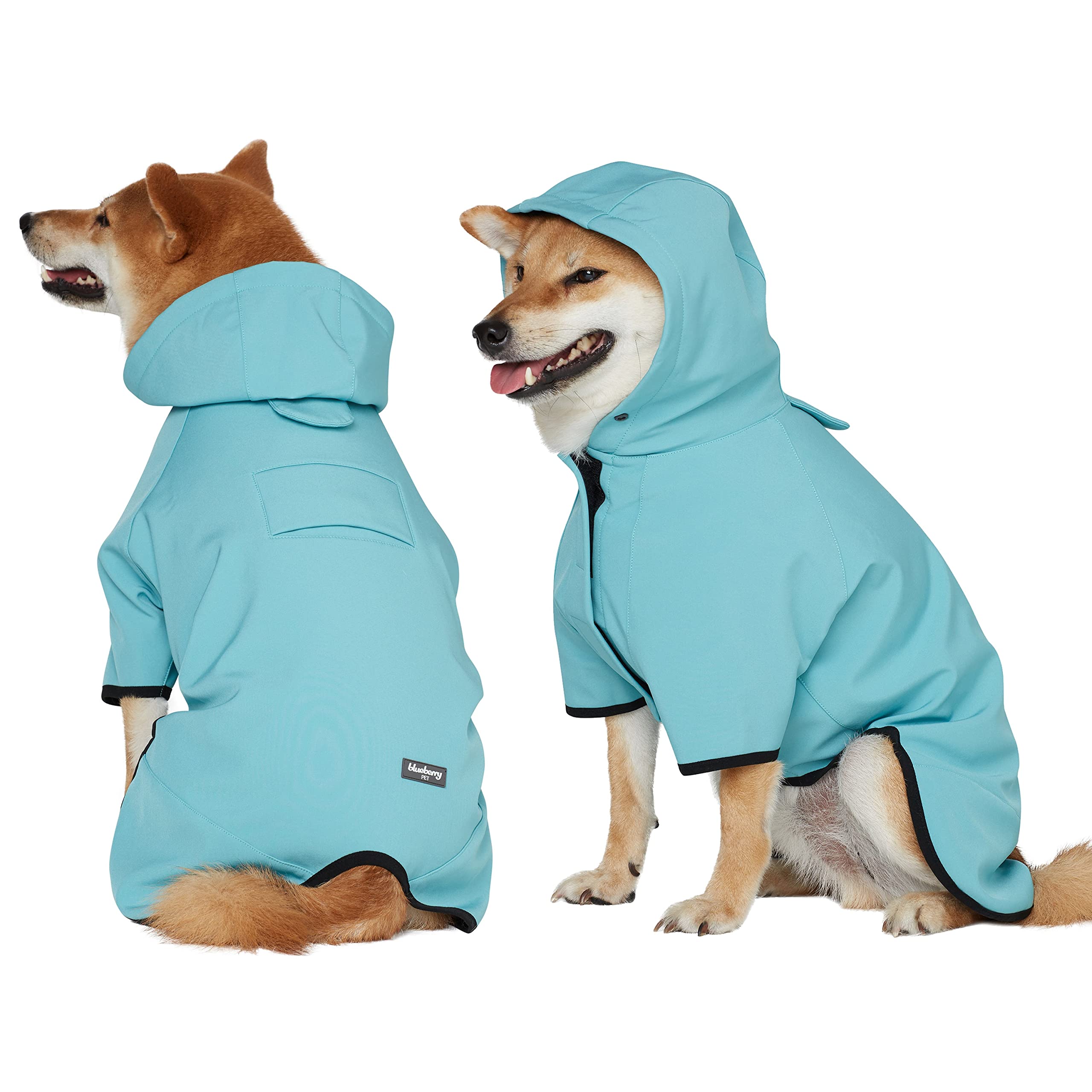Blueberry Pet trou attache-cou et harnais, pratique pour sorties en plein air.