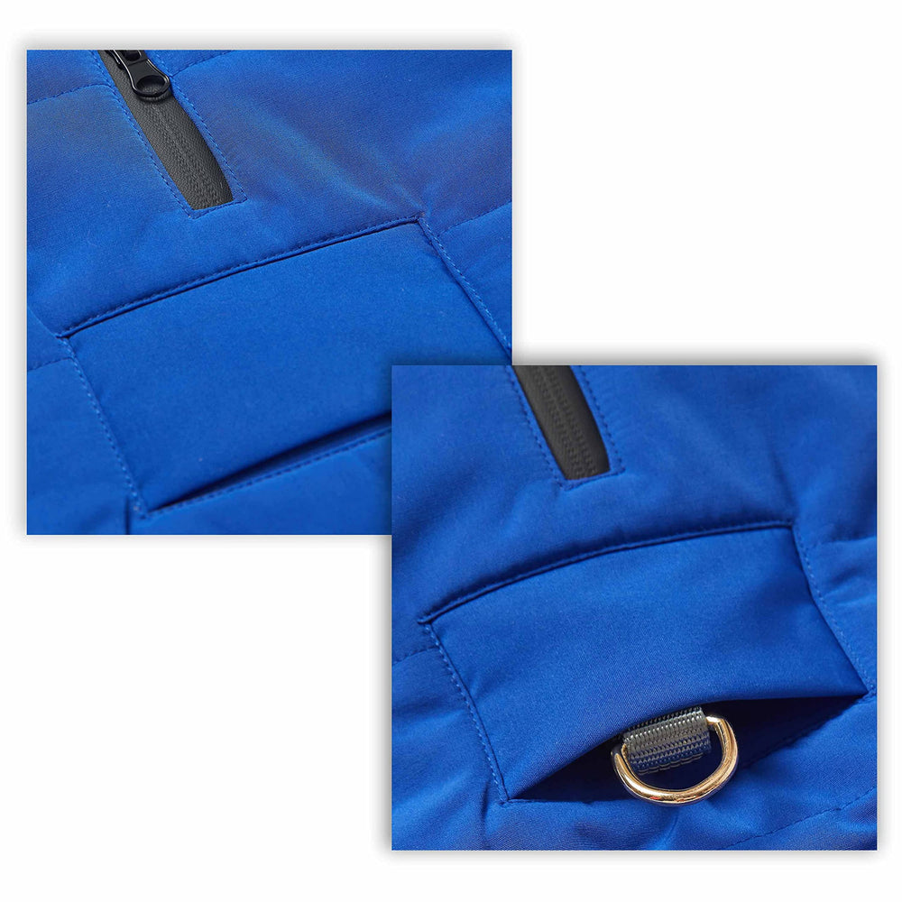 Veste Blueberry Pet hiver pour chien avec col roulé marine, chaleur et style