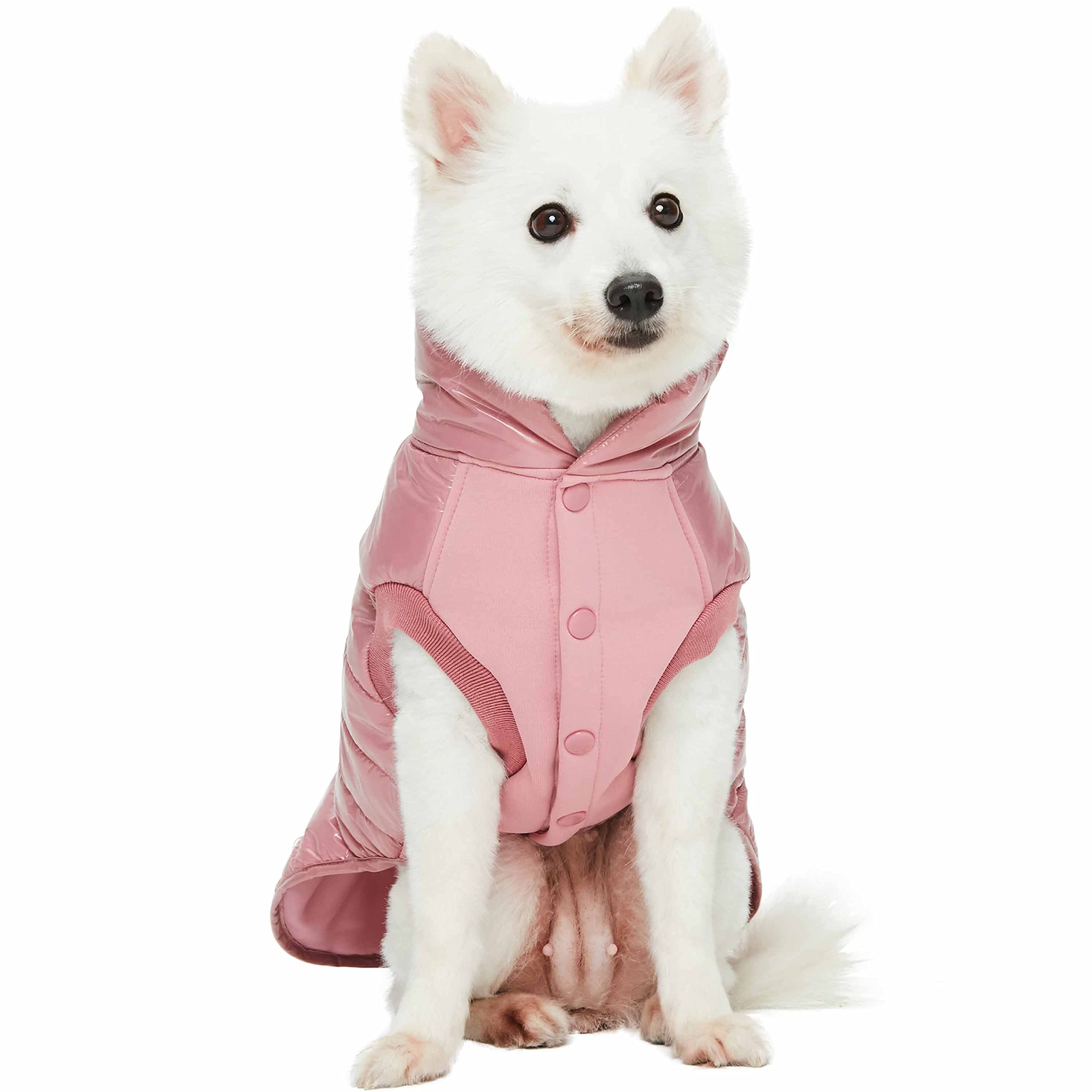 Vue d'ensemble Blueberry Pet veste hiver – allure hivernale